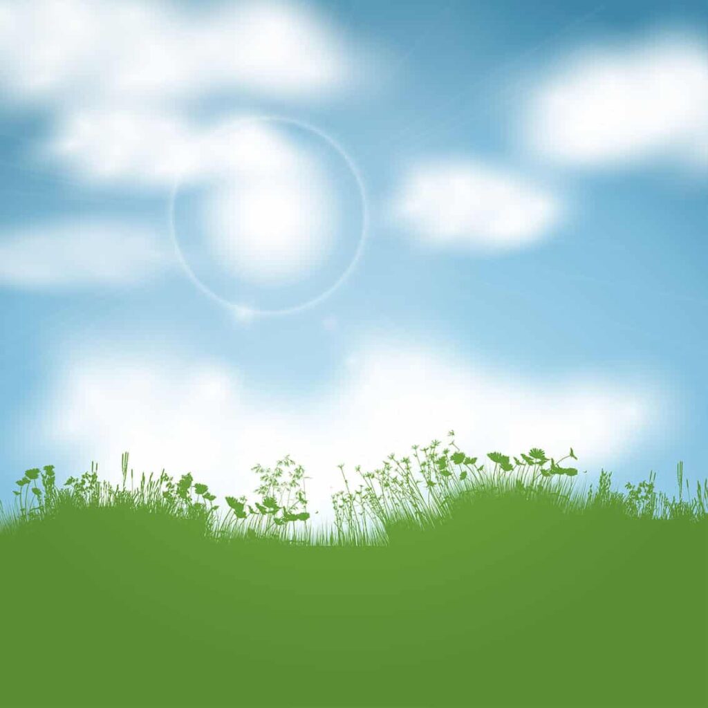 Air with clouds above spring grass